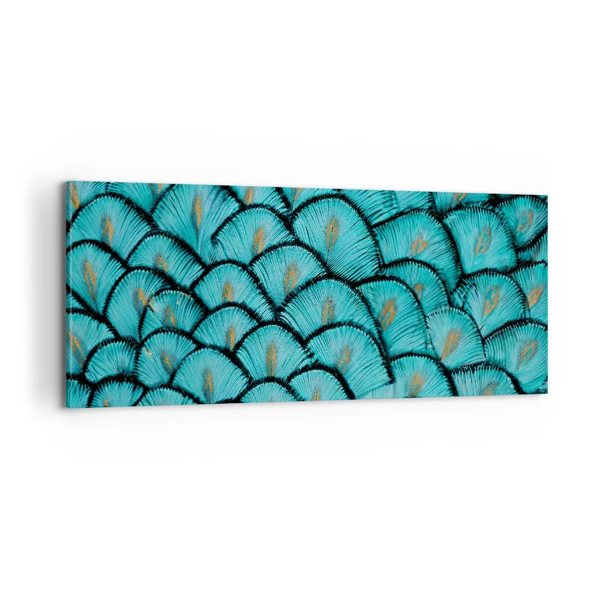 Bild auf Leinwand - Leinwandbild - Große Federgala - 100x40 cm