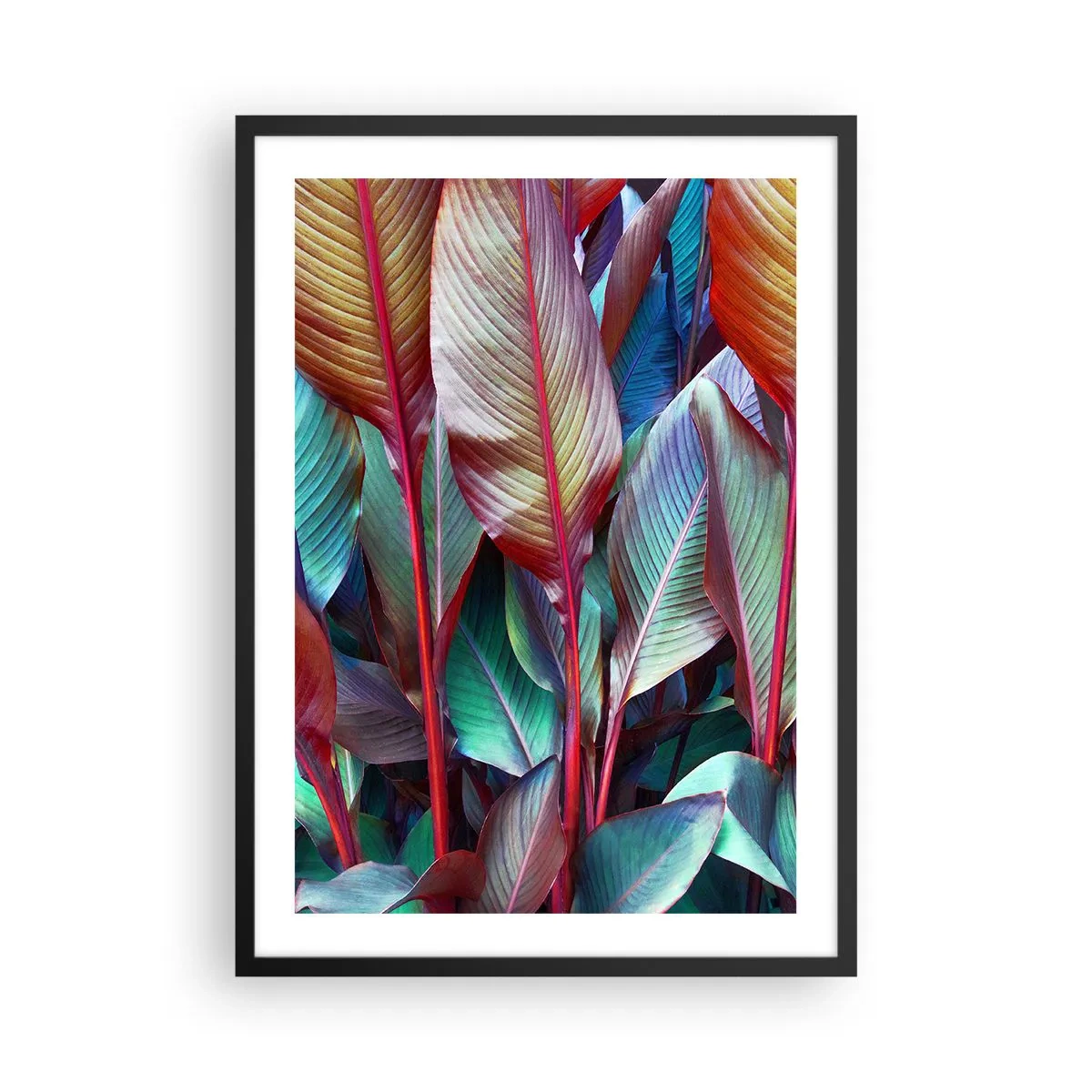 Poster in einem schwarzem Rahmen - Bunte Blätter einer tropischen Pflanze in gesättigten Farben - 50x70cm - Buntes Dickicht - Moderne Wanddekoration für Wohnzimmer und Schlafzimmer ARTTOR