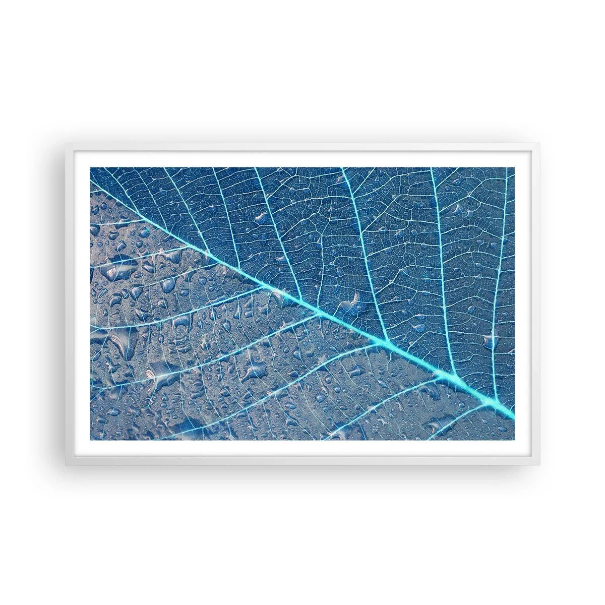 Poster in einem weißen Rahmen - Leben in Blau - 91x61 cm