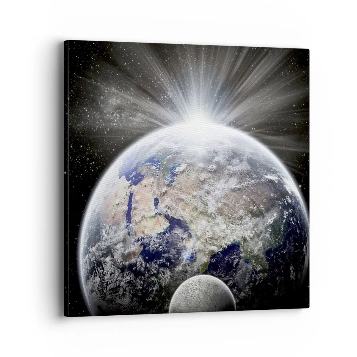 Bild auf Leinwand - Leinwandbild - In voller Pracht - 40x40 cm