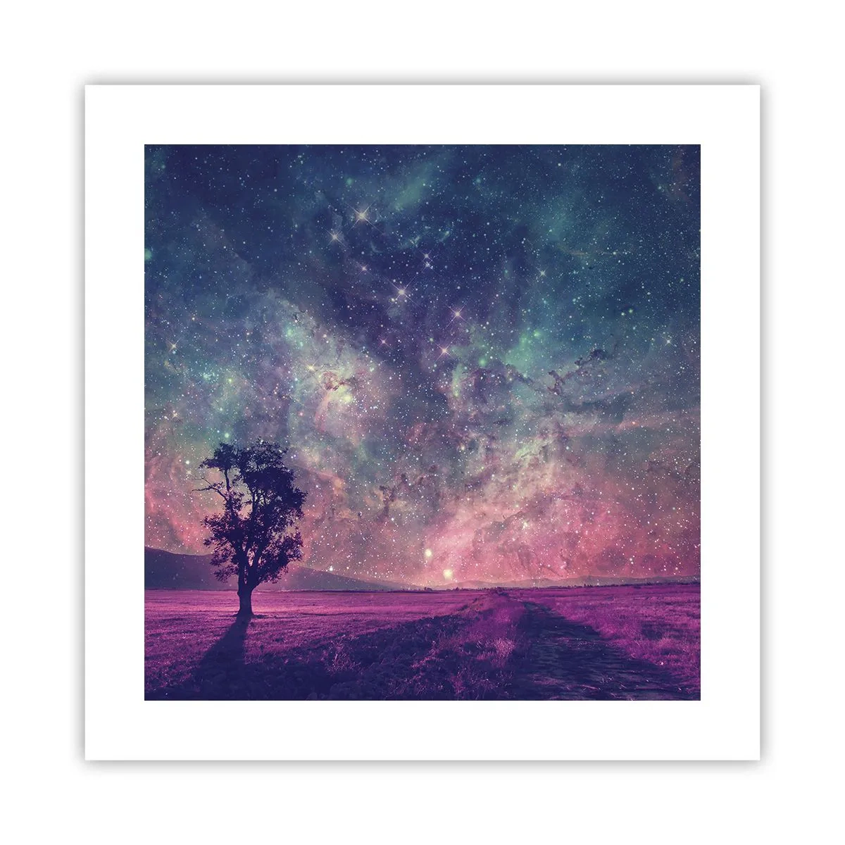 Poster - Unter dem magischen Himmel - 40x40 cm