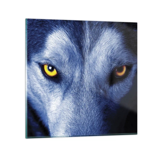 Glasbild - Bild auf glas - Faszinierender Blick - 60x60 cm