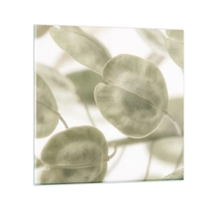 Glasbild - Bild auf glas - Am Anfang waren Blätter... - 30x30 cm
