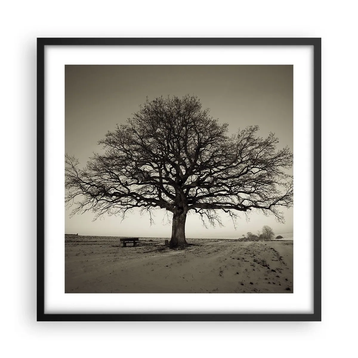 Poster in einem schwarzem Rahmen - Von hier zu Ewigkeit - 50x50 cm