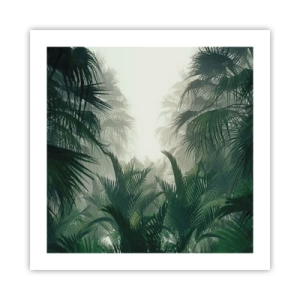 Poster - Tropisches Geheimnis - 50x50 cm