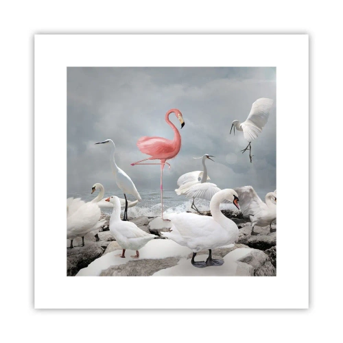 Poster - Wie kam ich hier hin? - 30x30 cm