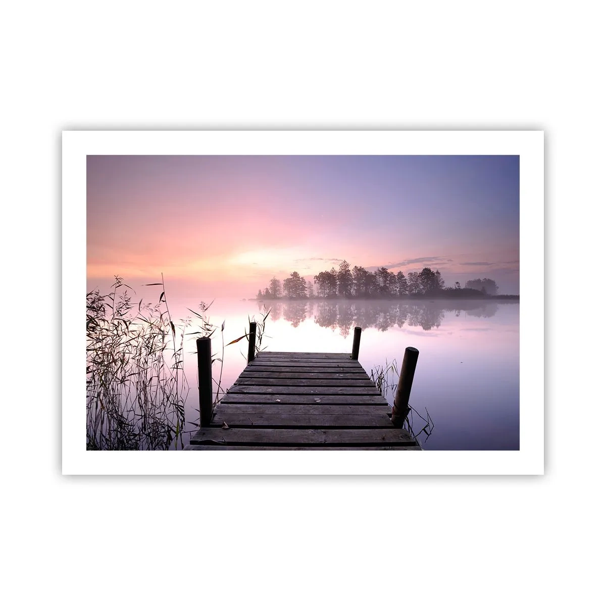 Poster - Aus dem lila Nebel ... - 70x50 cm