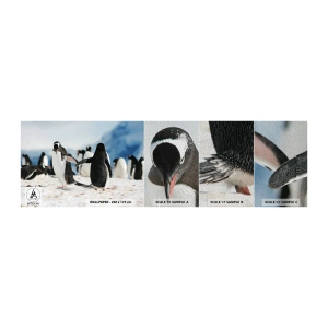 Fototapeten Muster Premium Sand - Tanzen im Schnee - Pinguin, Antarktis, Landschaft - 100x30 cm