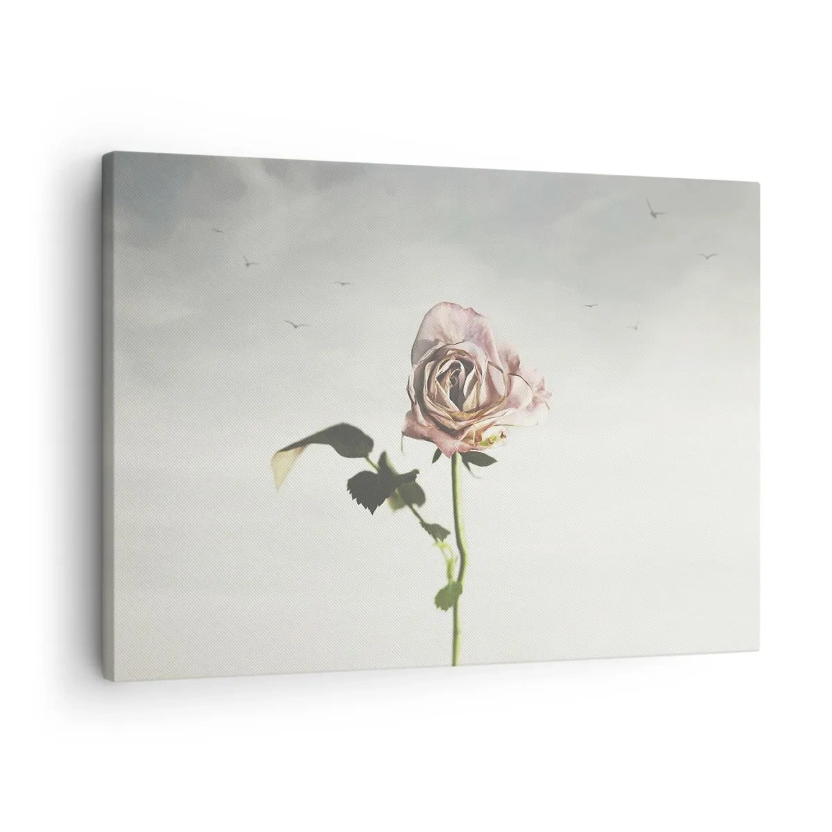 Bild auf Leinwand - Leinwandbild - Eine zarte Rose vor einem hellen Himmel mit fliegenden Vögeln - 70x50cm - Begrüßung des Frühlings - Moderne Wanddekoration für Wohnzimmer und Schlafzimmer ARTTOR