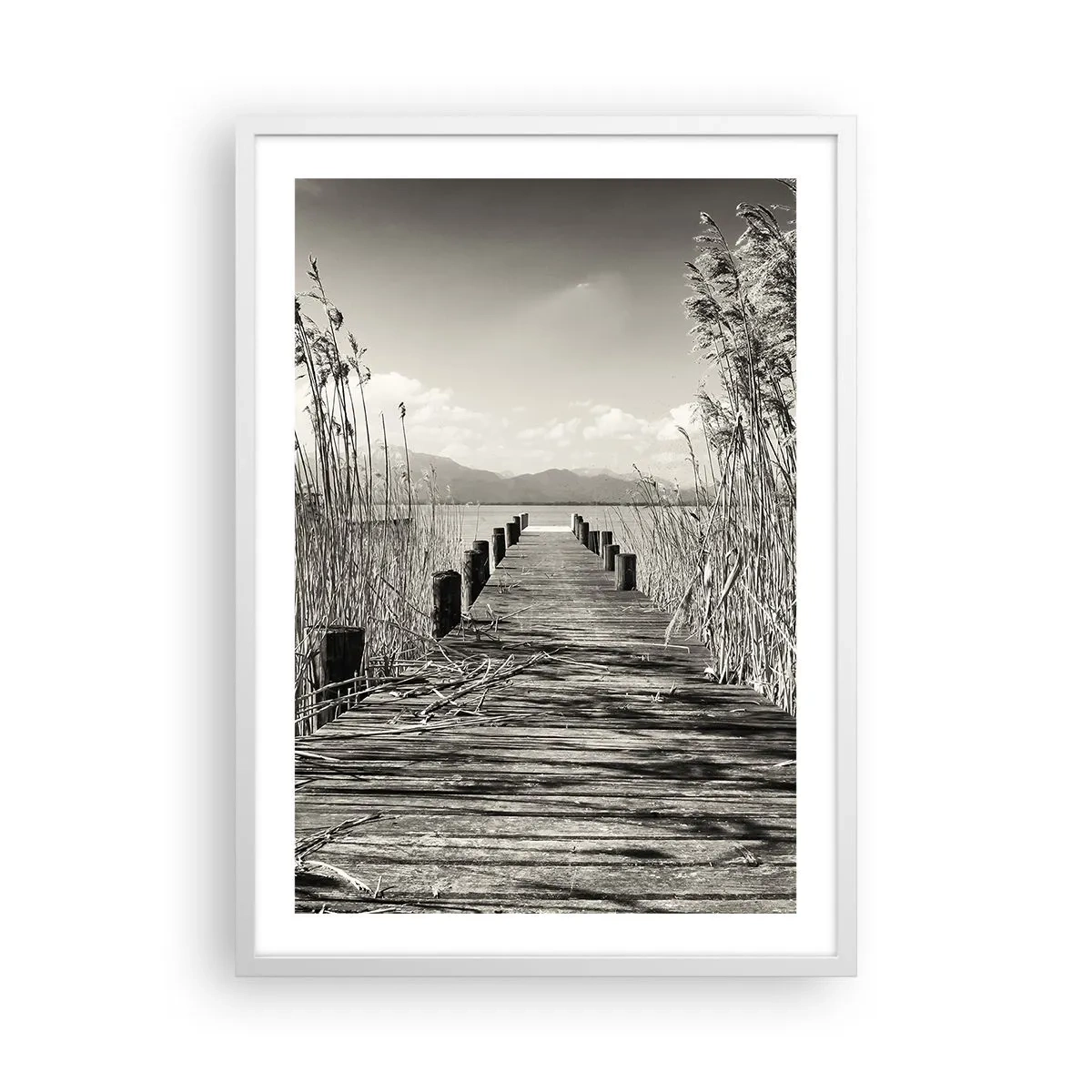 Poster in einem weißen Rahmen - In der Stille des Grases - 50x70 cm