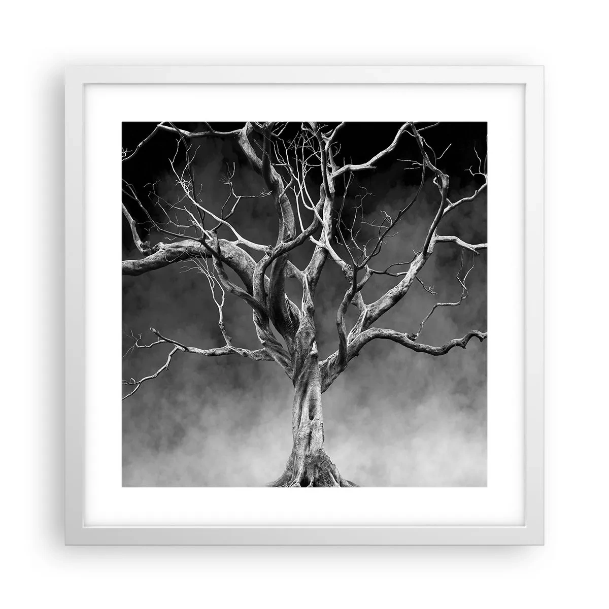 Poster in einem weißen Rahmen - Ursprünglich und heilig - 40x40 cm