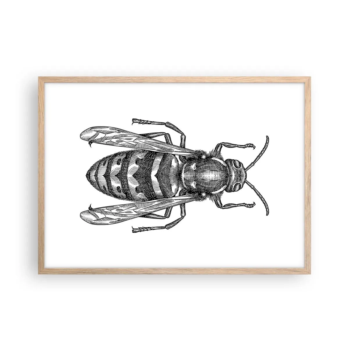 Poster in einem Rahmen aus heller Eiche - Von einem Insektenplaneten - 70x50 cm