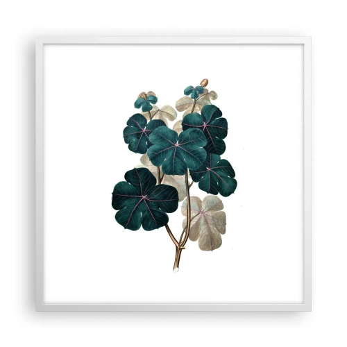 Poster in einem weißen Rahmen - Aus dem alten Herbarium - 60x60 cm
