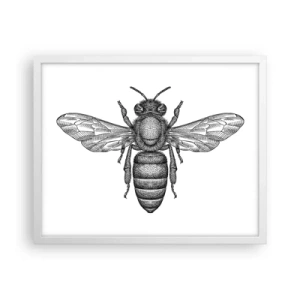 Poster in einem weißen Rahmen - Insektenporträt - 50x40 cm