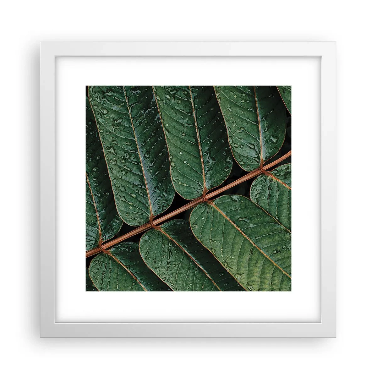 Poster in einem weißen Rahmen - Im grünen Rhythmus - 30x30 cm