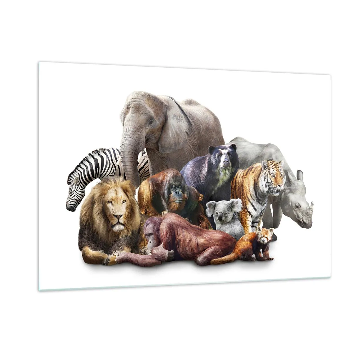 Glasbild - Bild auf glas - Eine Gruppe wilder Tiere auf weißem Hintergrund in einer künstlerischen Aufnahme - 120x80cm - Afrikanische Familienfotografie - Moderne Wanddekoration für Wohnzimmer und Schlafzimmer ARTTOR