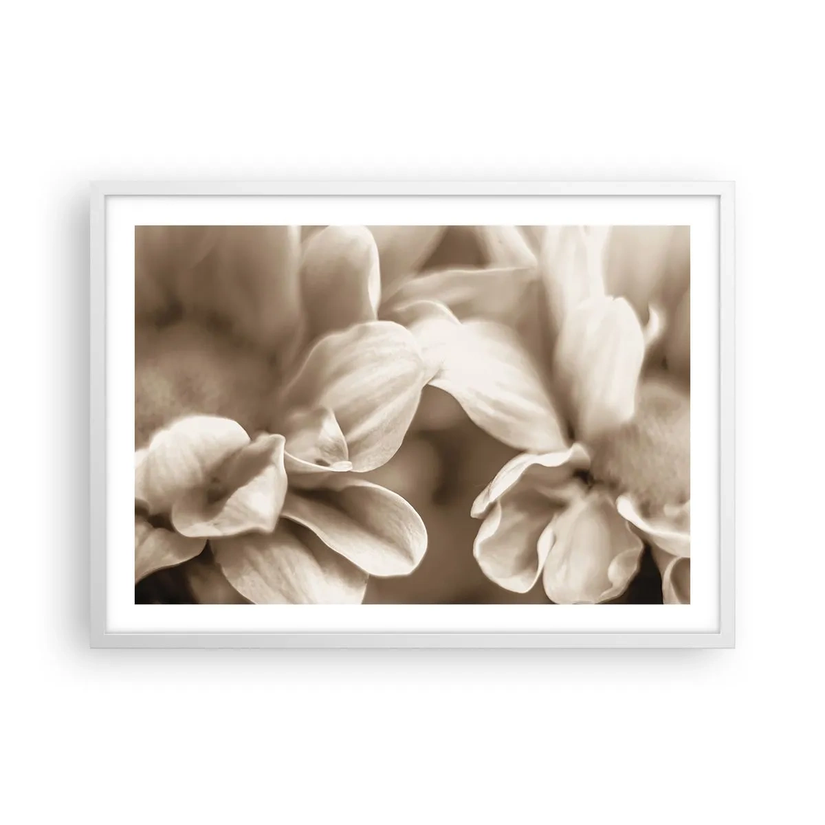 Poster in einem weißen Rahmen - So sanft wie ein Lächeln - 70x50 cm