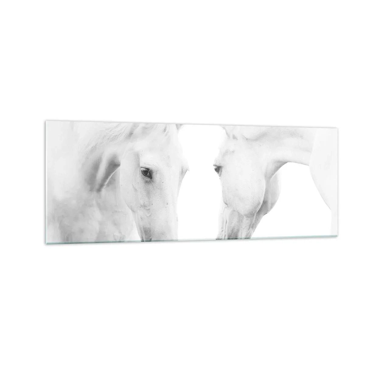Glasbild - Bild auf glas - Ein minimalistisches Porträt zweier weißer Pferde - 140x50cm - Ist das Freundschaft...? - Moderne Wanddekoration für Wohnzimmer und Schlafzimmer ARTTOR