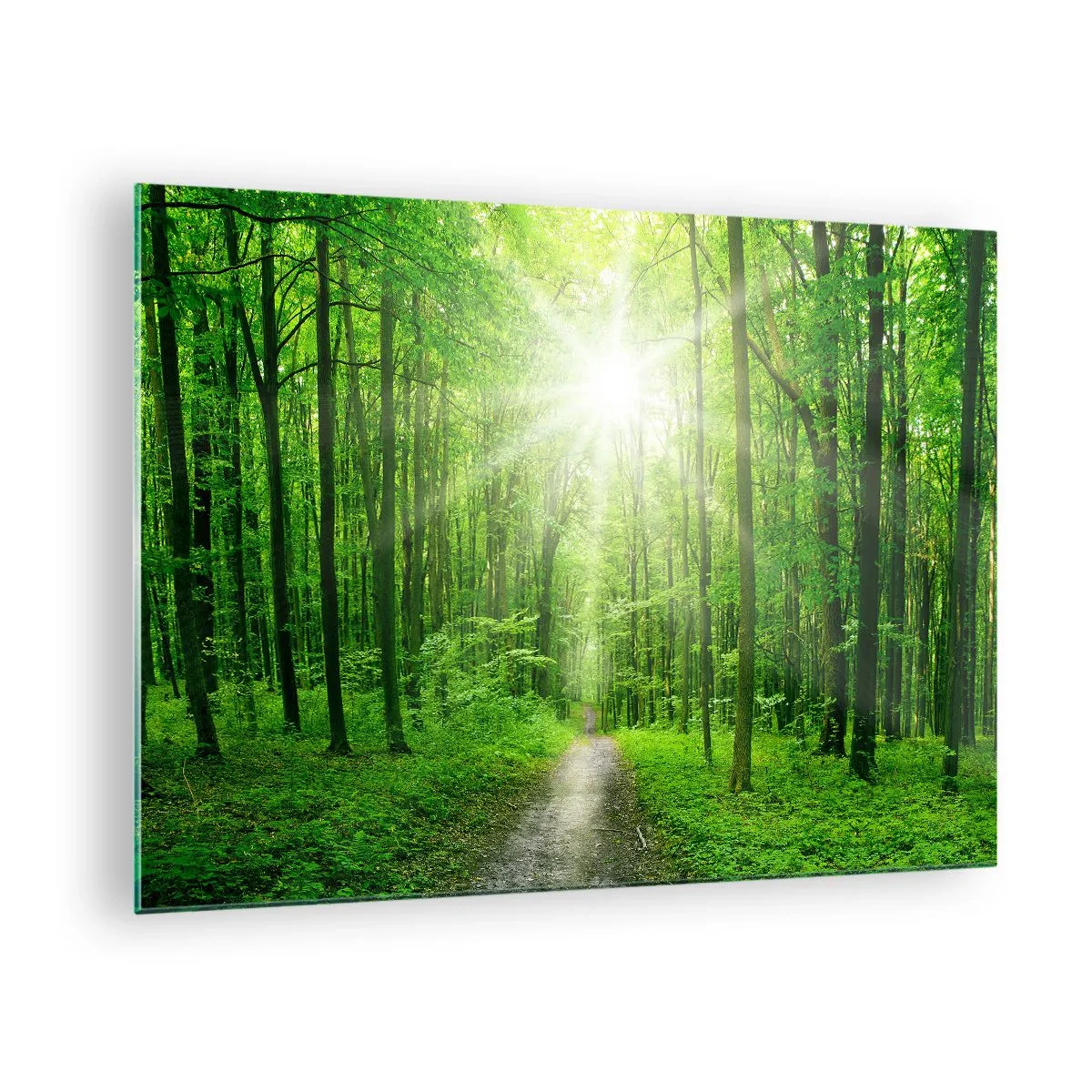 Glasbild - Bild auf glas - Ein von den Sonnenstrahlen beleuchteter Waldweg - 70x50cm - Die grüne Kathedrale - Moderne Wanddekoration für Wohnzimmer und Schlafzimmer ARTTOR