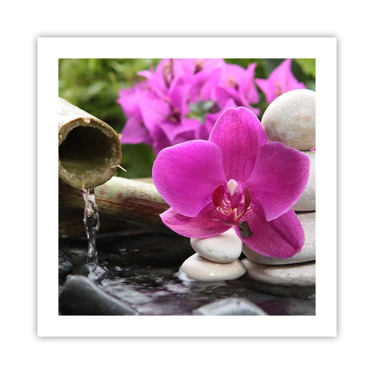 Poster - Du ruhst dich schon aus - 50x50 cm