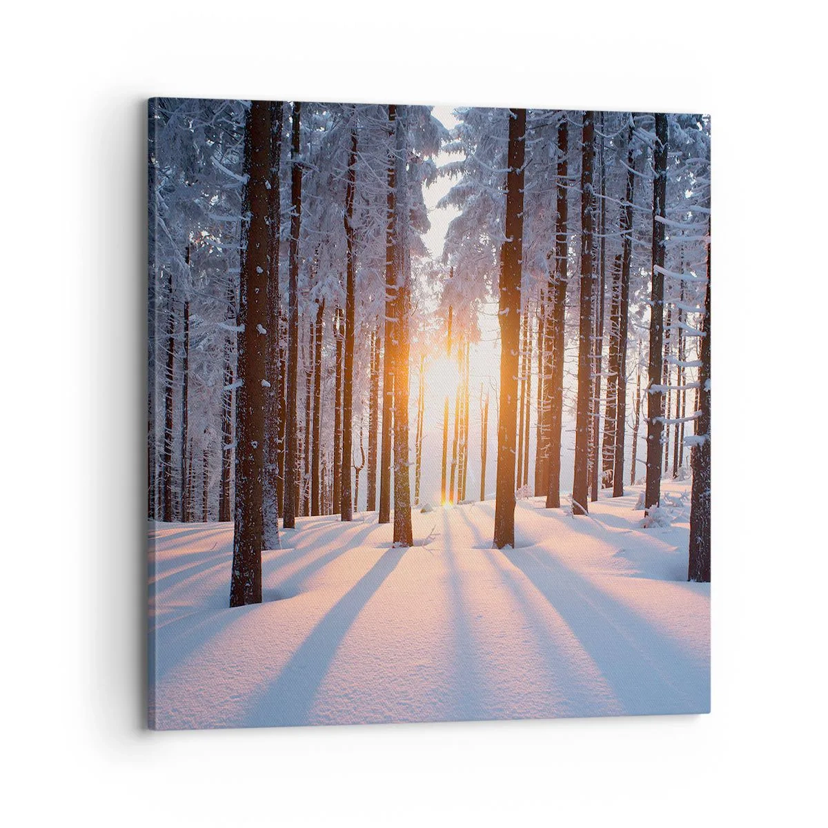 Bild auf Leinwand - Leinwandbild - Ganz klar schwarz auf weiß - 70x70 cm