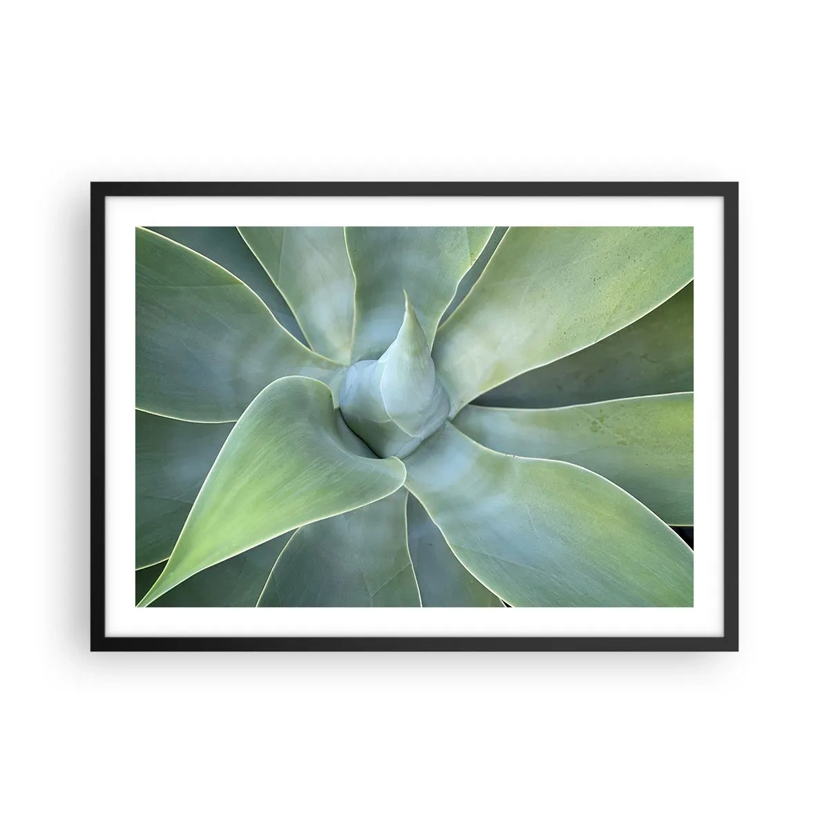 Poster in einem schwarzem Rahmen - Dezente Agavenblätter in Grüntönen - 70x50cm - Geburt des Grüns - Moderne Wanddekoration für Wohnzimmer und Schlafzimmer ARTTOR