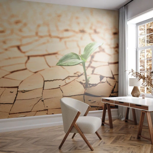 Fototapete Premium Sand - Eine junge Pflanze wächst aus trockener, rissiger Erde - 100x70cm - Die unbezähmbare Kraft des Lebens - Moderne Wanddekoration für Wohnzimmer und Schlafzimmer ARTTOR