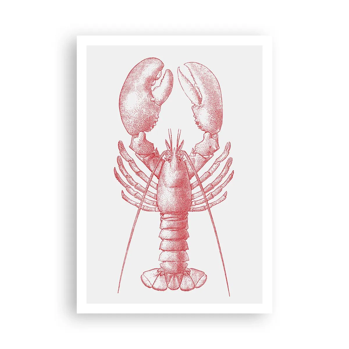 Poster - Hummer, der Homers würdig ist - 70x100 cm