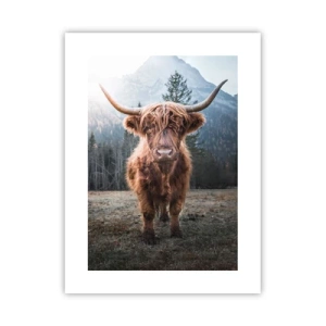 Poster - Grüße von der Bergwiese - 30x40 cm