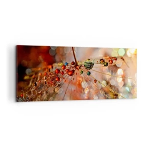 Bild auf Leinwand - Leinwandbild - Auf einem Spinnenfaden aufgefädelt - 100x40 cm