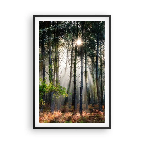 Poster in einem schwarzem Rahmen - Waldgebiet - 61x91 cm
