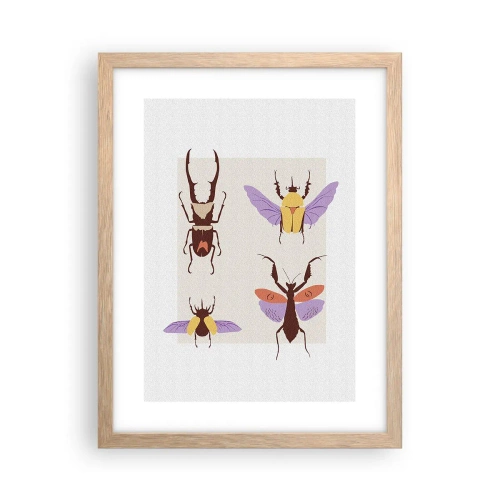 Poster in einem Rahmen aus heller Eiche - Insektenwelt - 30x40 cm