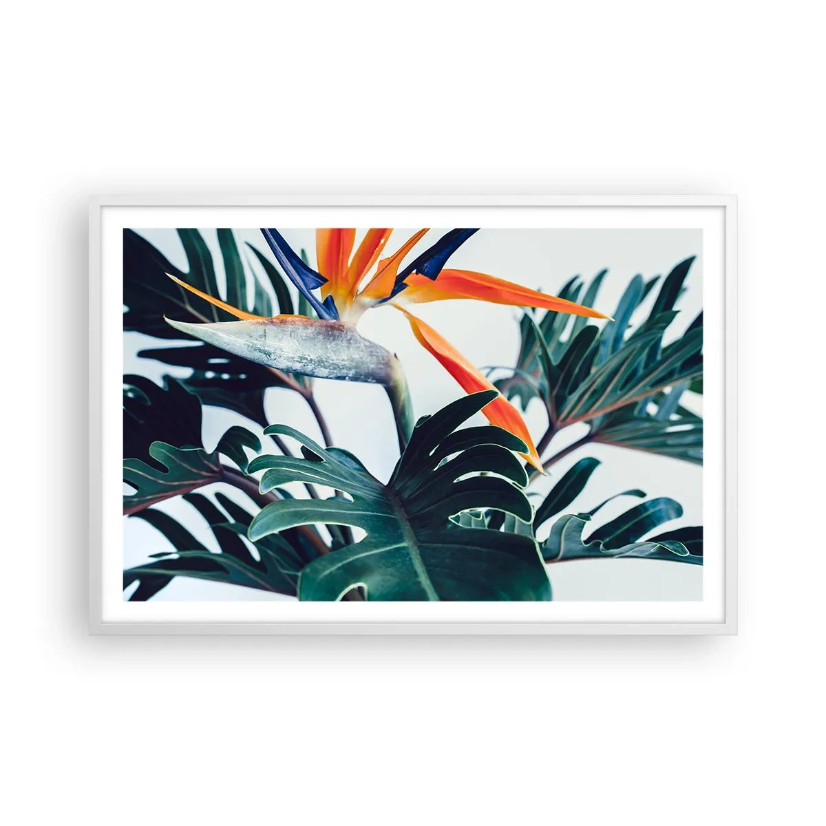 Poster in einem weißen Rahmen - Vogelbusch - 91x61 cm