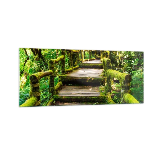 Glasbild - Bild auf glas - Ein Korridor voller Grün - 100x40 cm