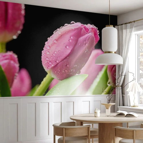 Fototapete Premium Sand - Rosa Tulpen mit Wassertropfen auf schwarzem Hintergrund bedeckt - 100x70cm - Lila Traum im Tau - Moderne Wanddekoration für Wohnzimmer und Schlafzimmer ARTTOR