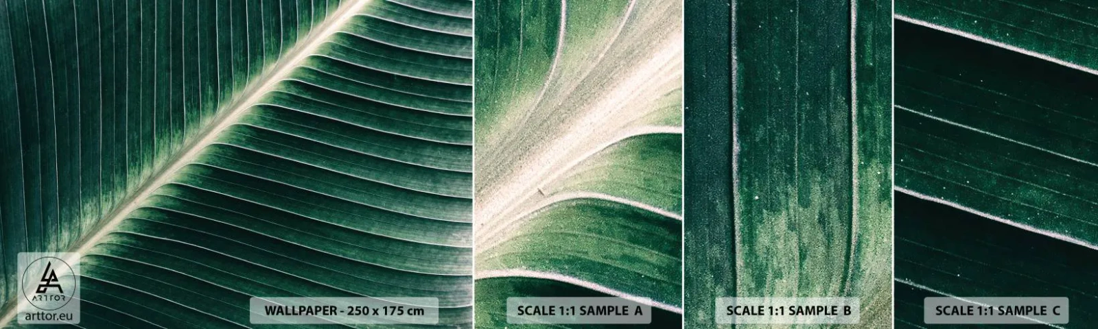 Fototapeten Muster Selbstklebend Deluxe Sticker - Rhythmus der Natur - Abstraktion, Grünes Blatt, Grafik - 100x30 cm