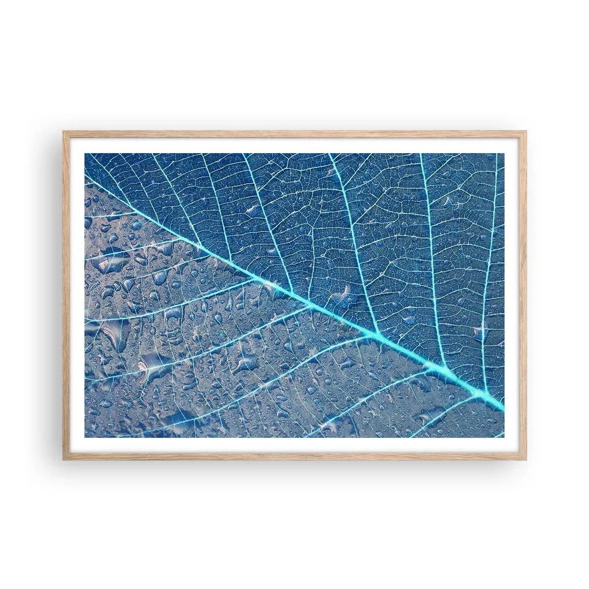 Poster in einem Rahmen aus heller Eiche - Leben in Blau - 100x70 cm