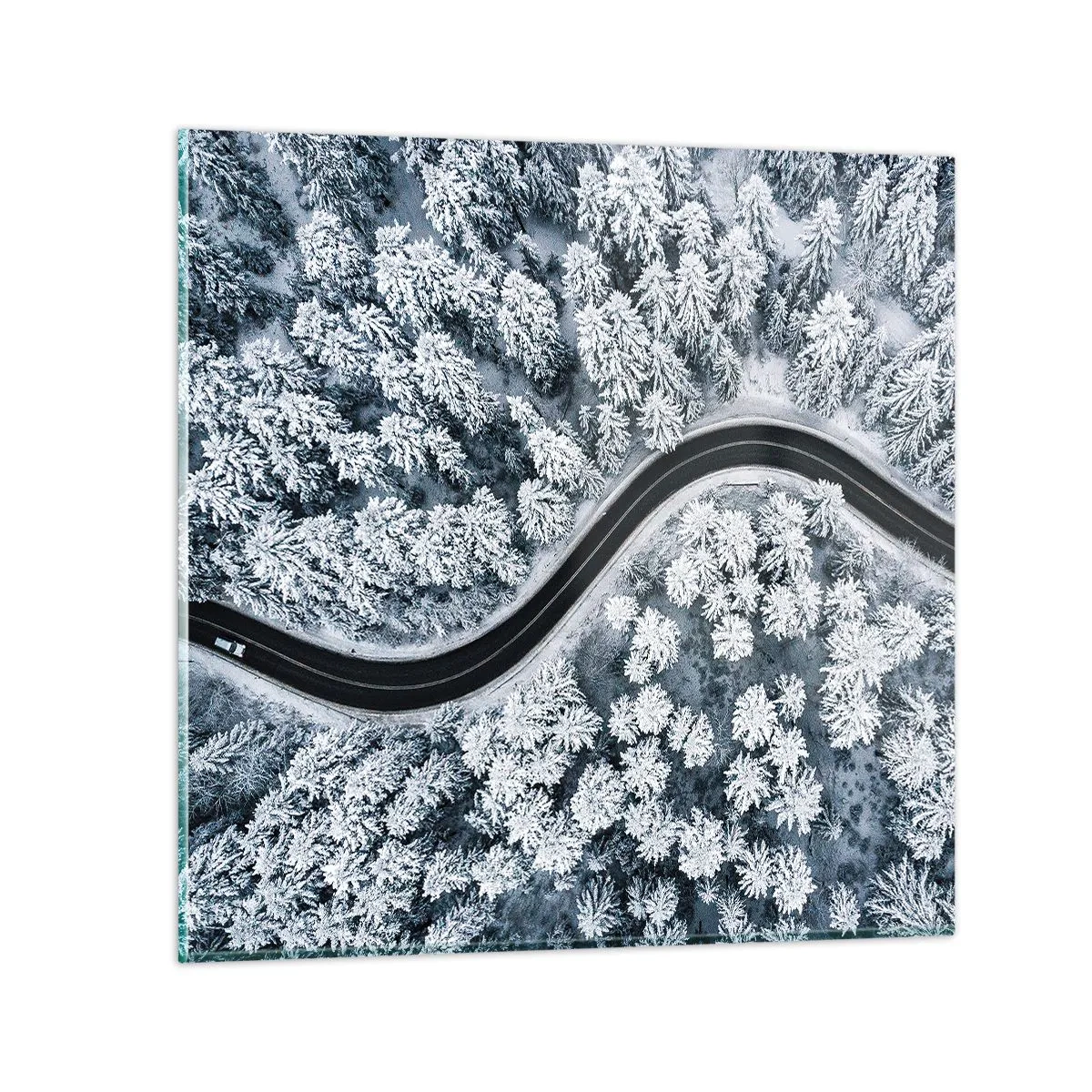 Glasbild - Bild auf glas - Durch den Winterwald - 70x70 cm