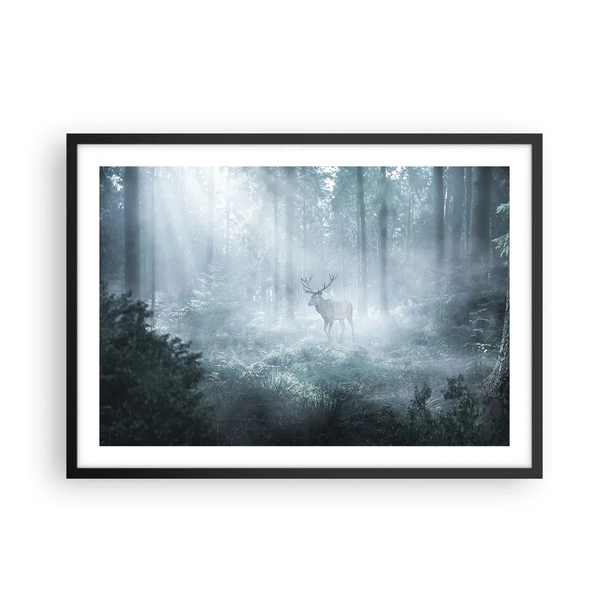Poster in einem schwarzem Rahmen - Ein Hirsch in einem dichten Wald, eingehüllt in Morgennebel - 70x50cm - Morgenvisite auf dem Grundstück - Moderne Wanddekoration für Wohnzimmer und Schlafzimmer ARTTOR
