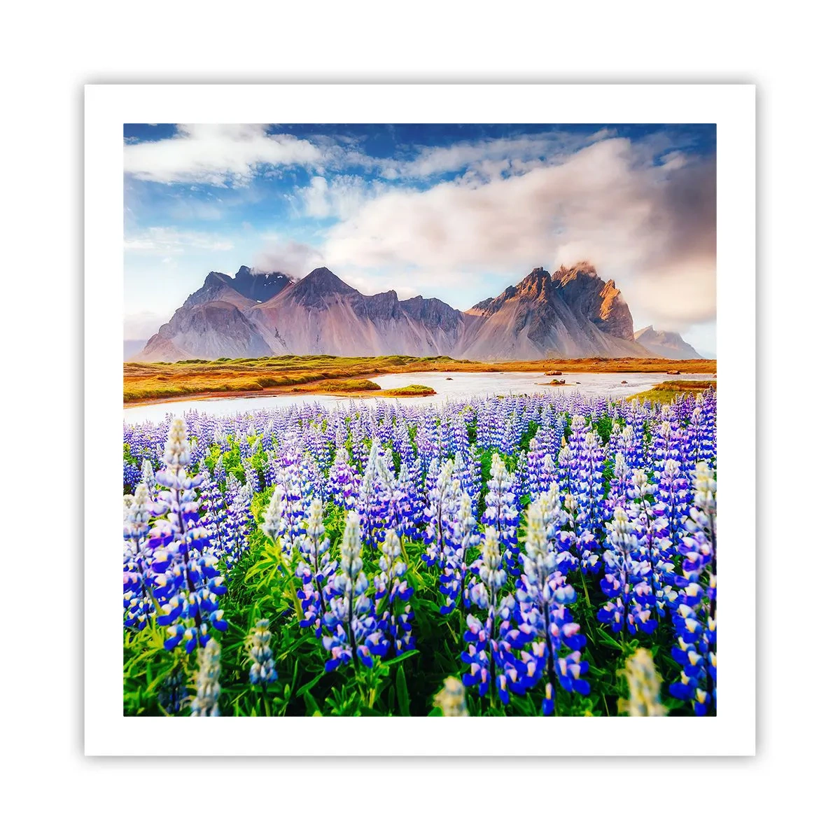 Poster - Kraft und Strenge neben Sanftmut - 60x60 cm