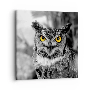 Bild auf Leinwand - Leinwandbild - Nichts wird sich verstecken - 30x30 cm