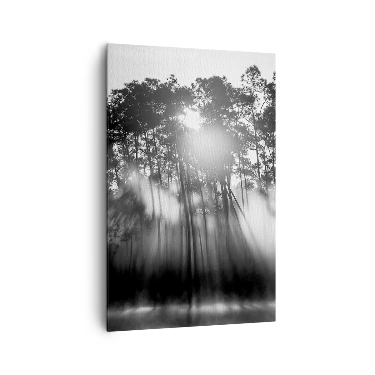 Bild auf Leinwand - Leinwandbild - Schwarz-weißer Wald im Morgennebel - 80x120cm - Unaufhaltsame Sonne - Moderne Wanddekoration für Wohnzimmer und Schlafzimmer ARTTOR