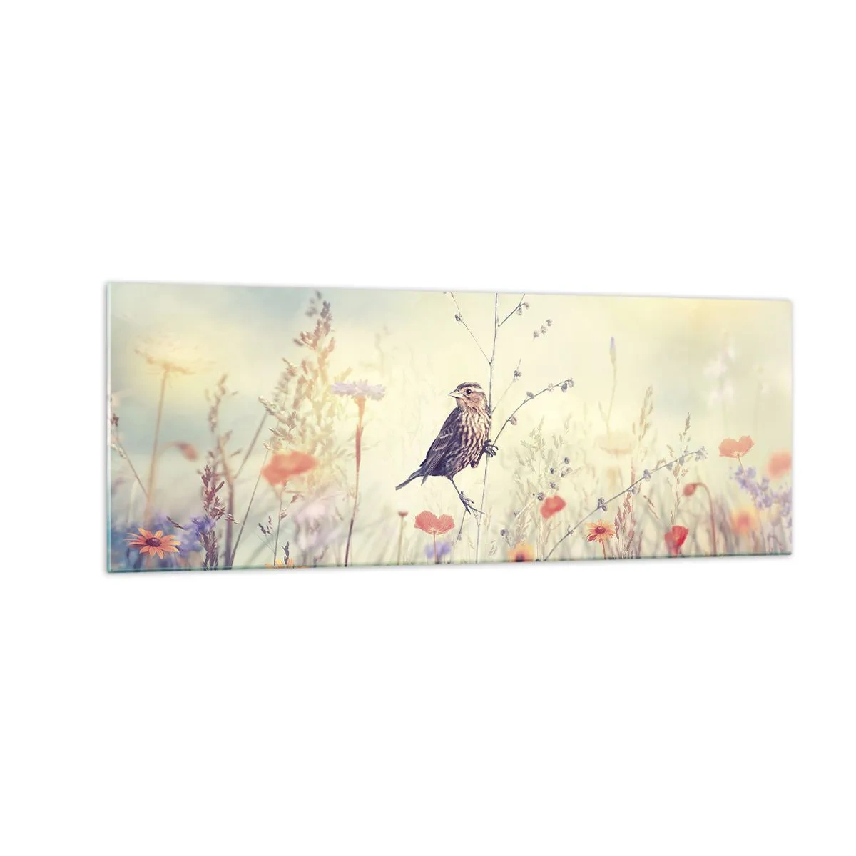 Glasbild - Bild auf glas - Ein Vogel vor dem Hintergrund einer bunten Wiese in Pastellfarben - 140x50cm - Vogelporträt mit einer Wiese im Hintergrund - Moderne Wanddekoration für Wohnzimmer und Schlafzimmer ARTTOR