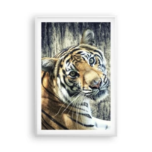 Poster in einem weißen Rahmen - Portrait in Lichtstrahlen - 61x91 cm