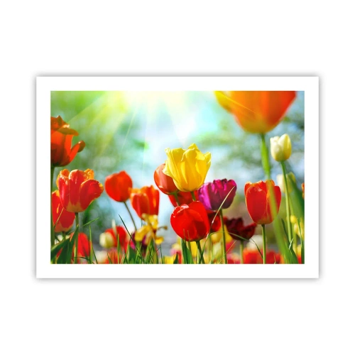 Poster - Alle Farben der Sonne - 70x50 cm