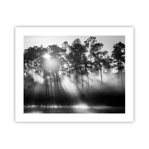 Poster - Unaufhaltsame Sonne - 50x40 cm