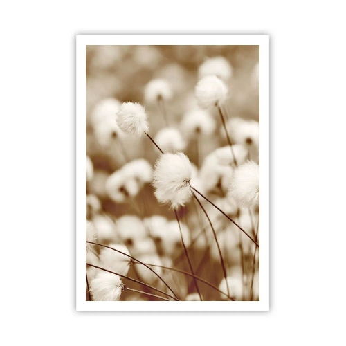 Poster - Flauschiges Kornfeld - 70x100 cm