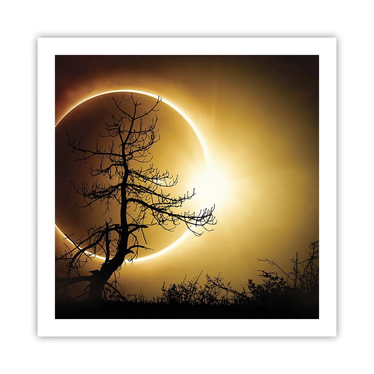 Poster - Totale Finsternis - 60x60 cm