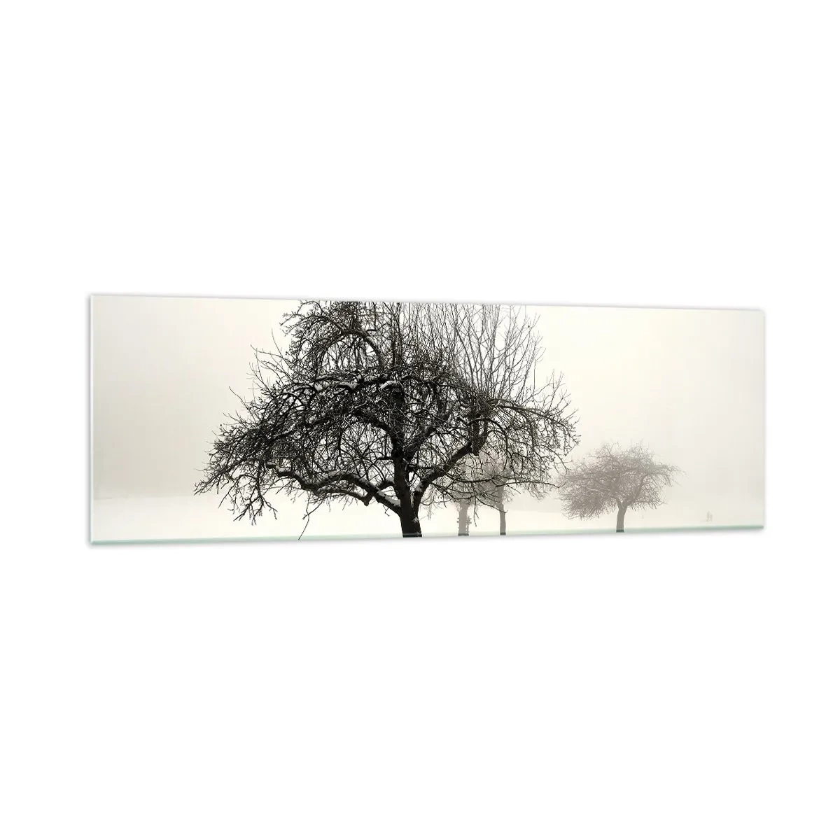 Glasbild - Bild auf glas - Bäume auf einem schneebedeckten Feld, umgeben von Nebel - 160x50cm - Winterschlaf - Moderne Wanddekoration für Wohnzimmer und Schlafzimmer ARTTOR