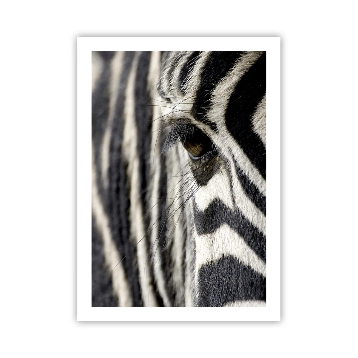 Poster - Eine Nahaufnahme des Auges eines Zebras mit seinem charakteristischen Muster. - 50x70cm - Gestreiftes Porträt - Moderne Wanddekoration für Wohnzimmer und Schlafzimmer ARTTOR